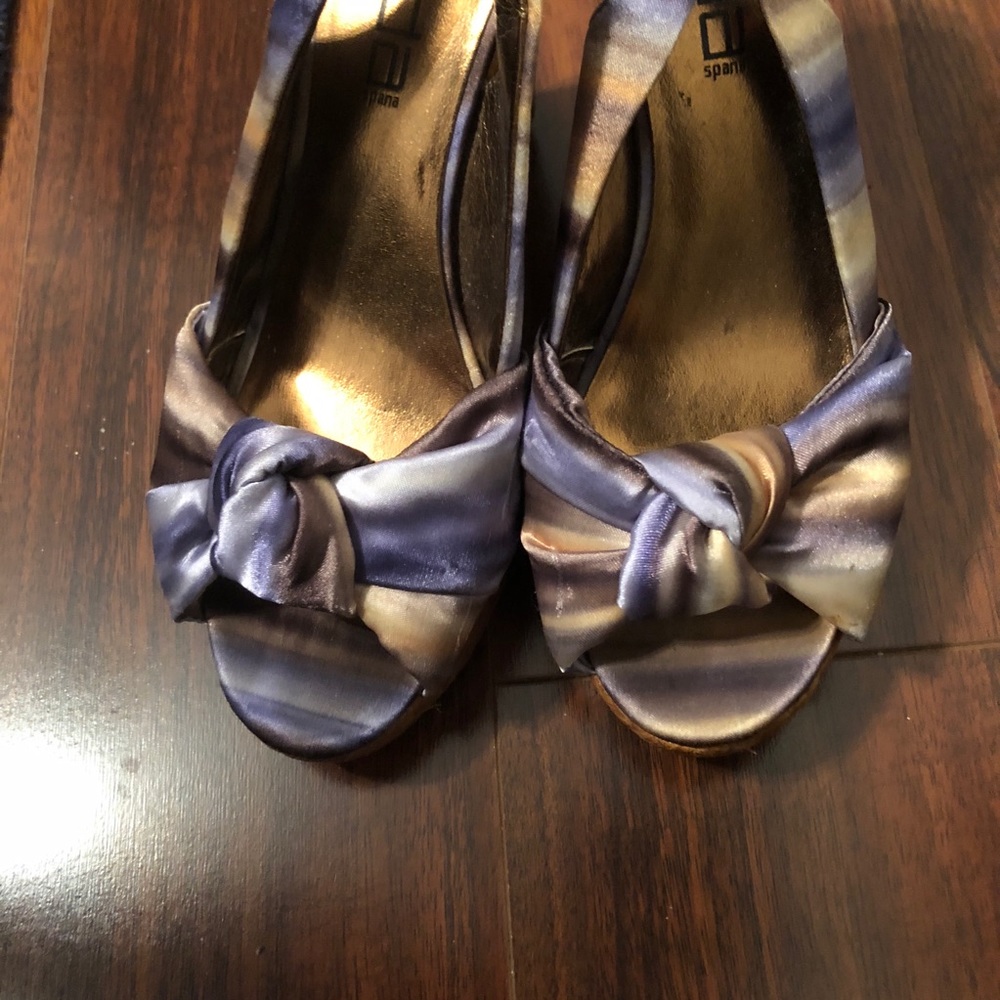 Watercolor wedges